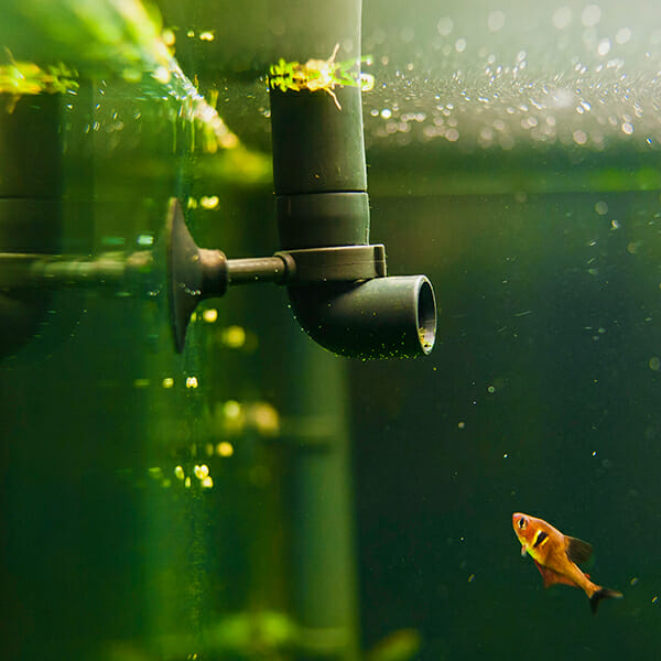 Фильтры для аквариумов